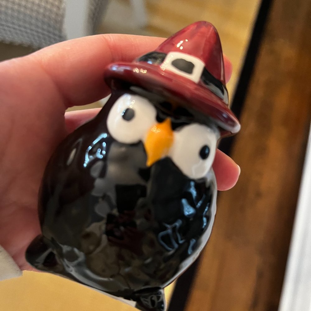 Owl Salt and Pepper Shakers (Set‎ of 4 - One is Slightly Damaged)(hme decor/x) - Picture 5 of 11
